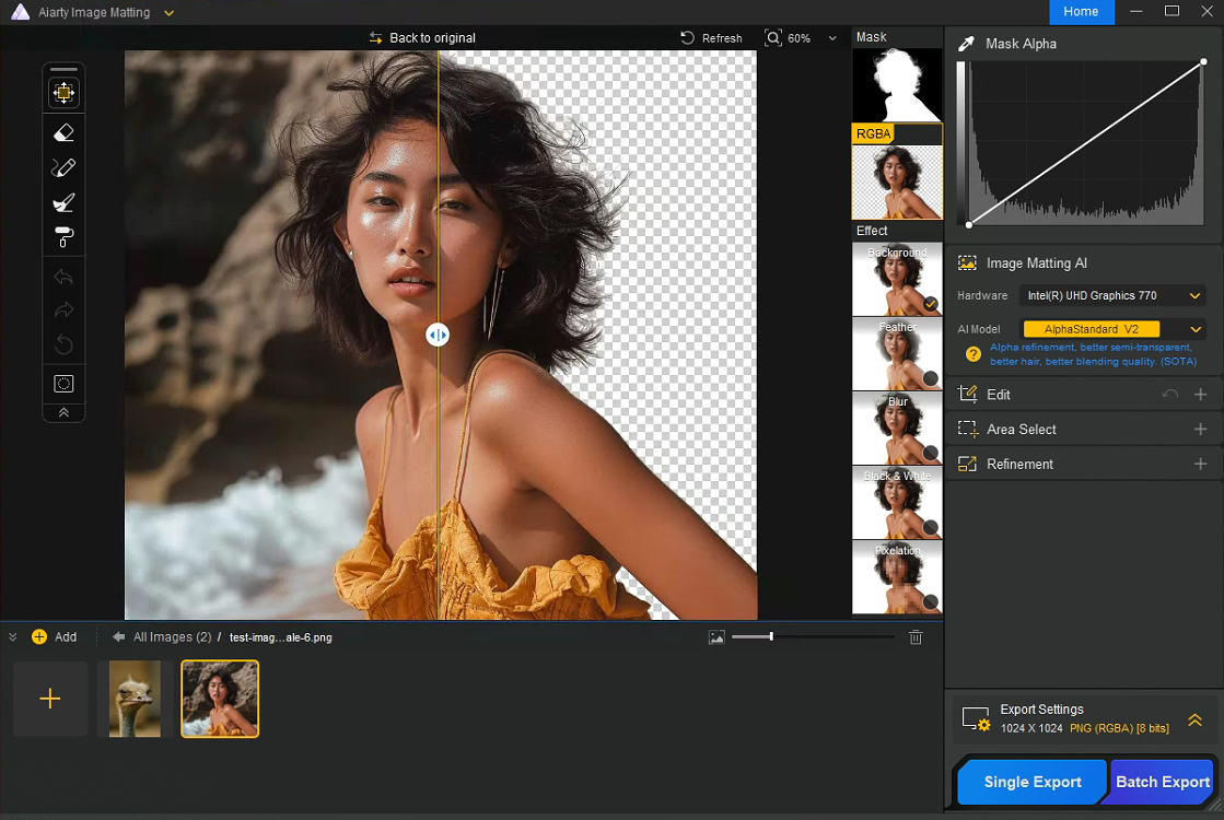 Aiarty Image Matting software interface showing AI background removal with model selection panel