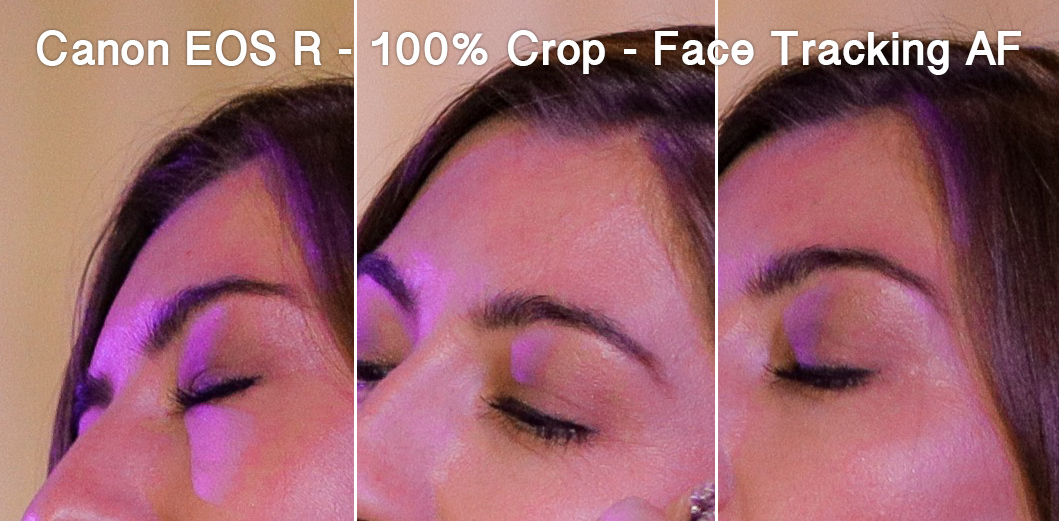 100 percent crop showing sharpness of eye detection autofocus on Canon EOS R at f/1.2 in low light wedding reception conditions