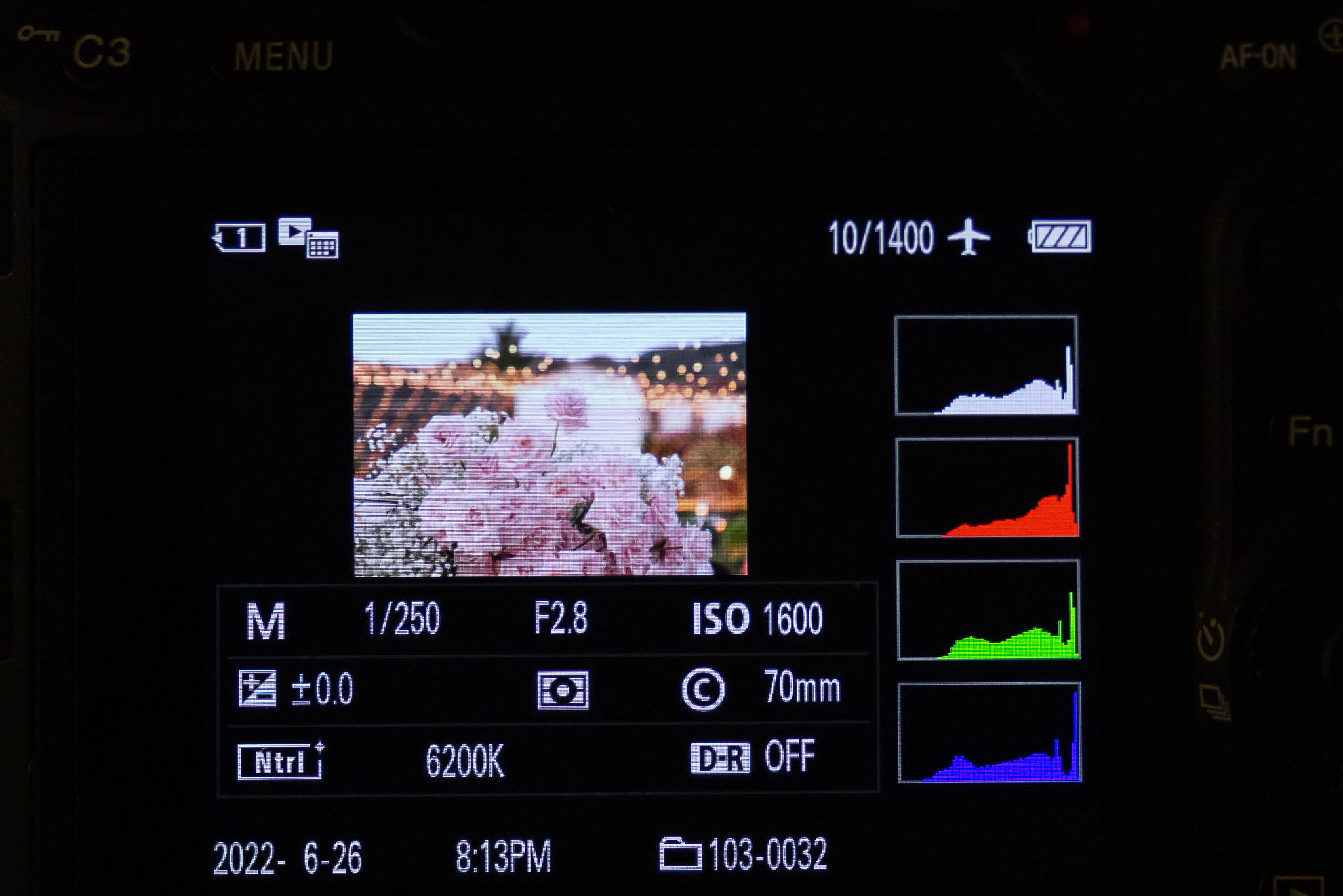 Camera LCD playback screen showing EXIF data overlay with shutter speed aperture ISO focal length and histogram displayed during image review