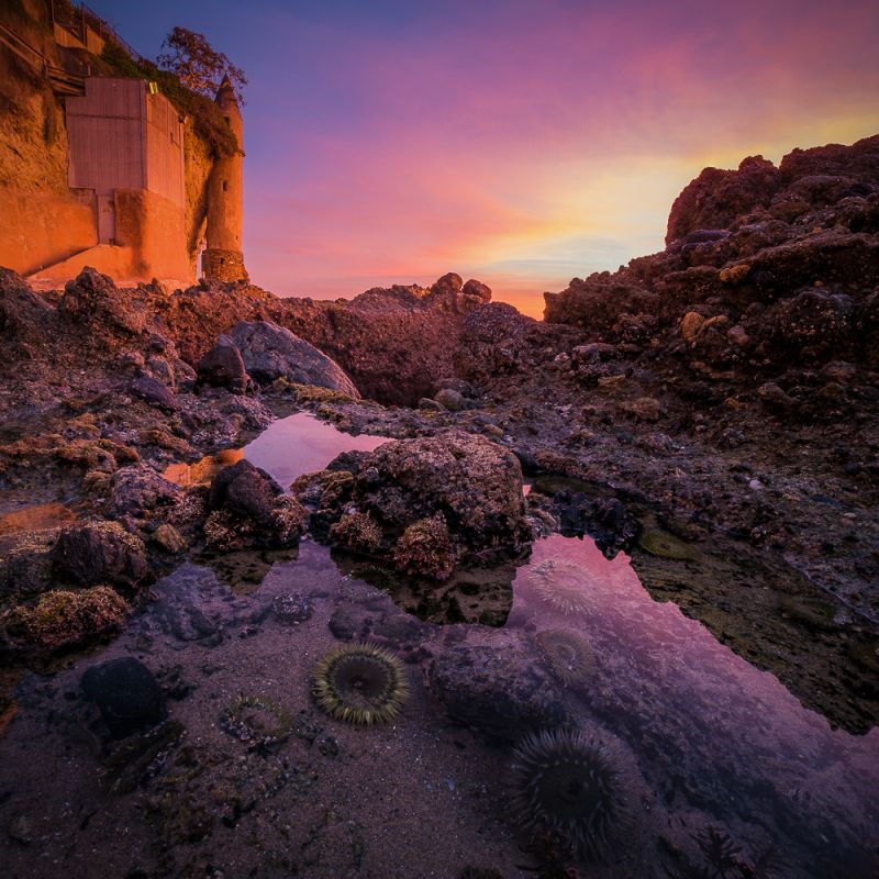 landscape photography tips foregrond focus stacking