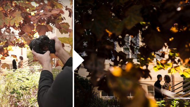 Couple posed on steps and framed by tree branches