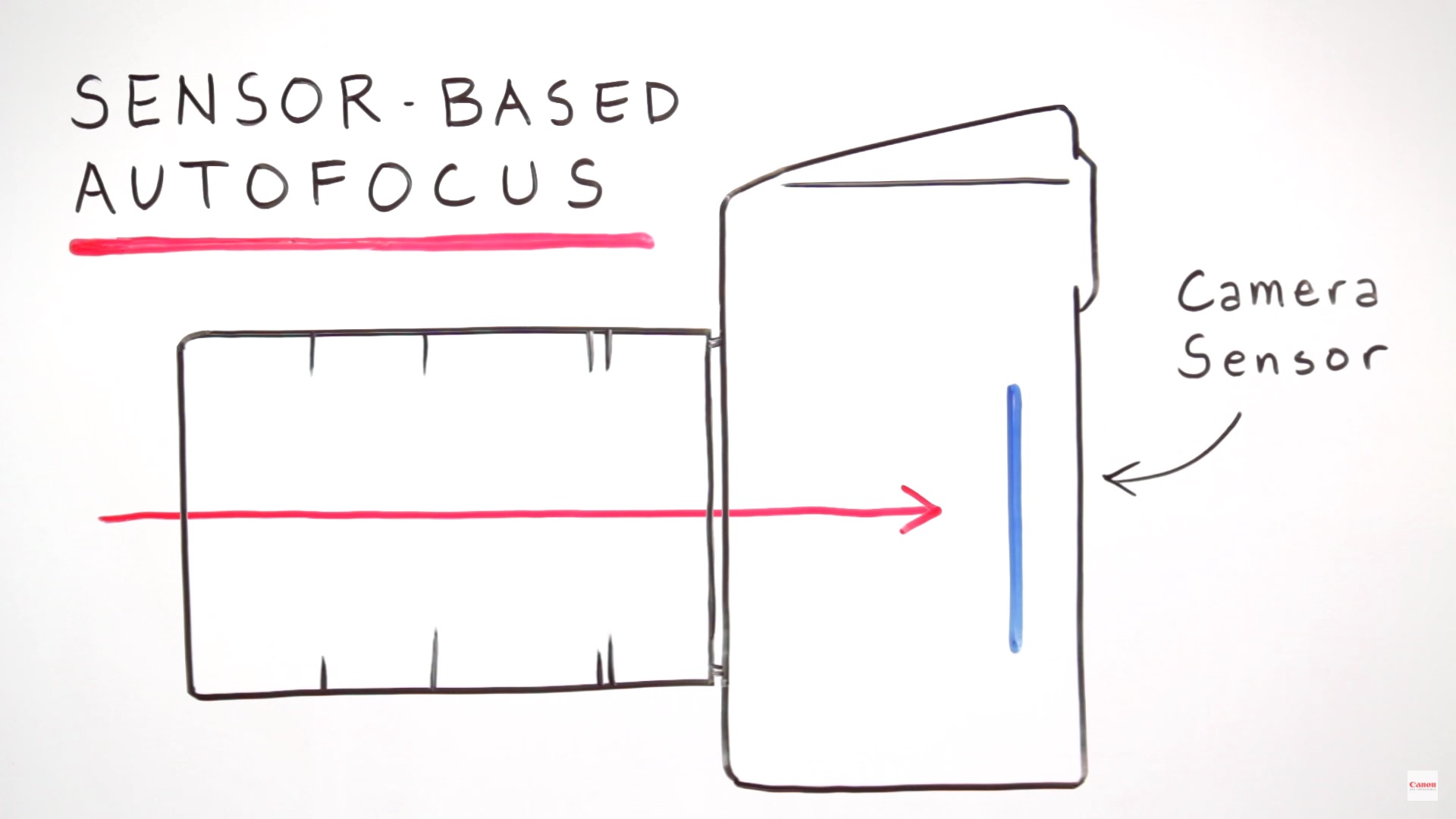 Diagram explaining sensor-based autofocus in mirrorless cameras compared to the separate AF module system used in DSLR cameras