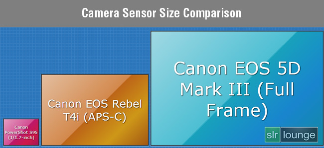 Diagram comparing sensor sizes from full-frame down to compact camera, showing the relative size differences