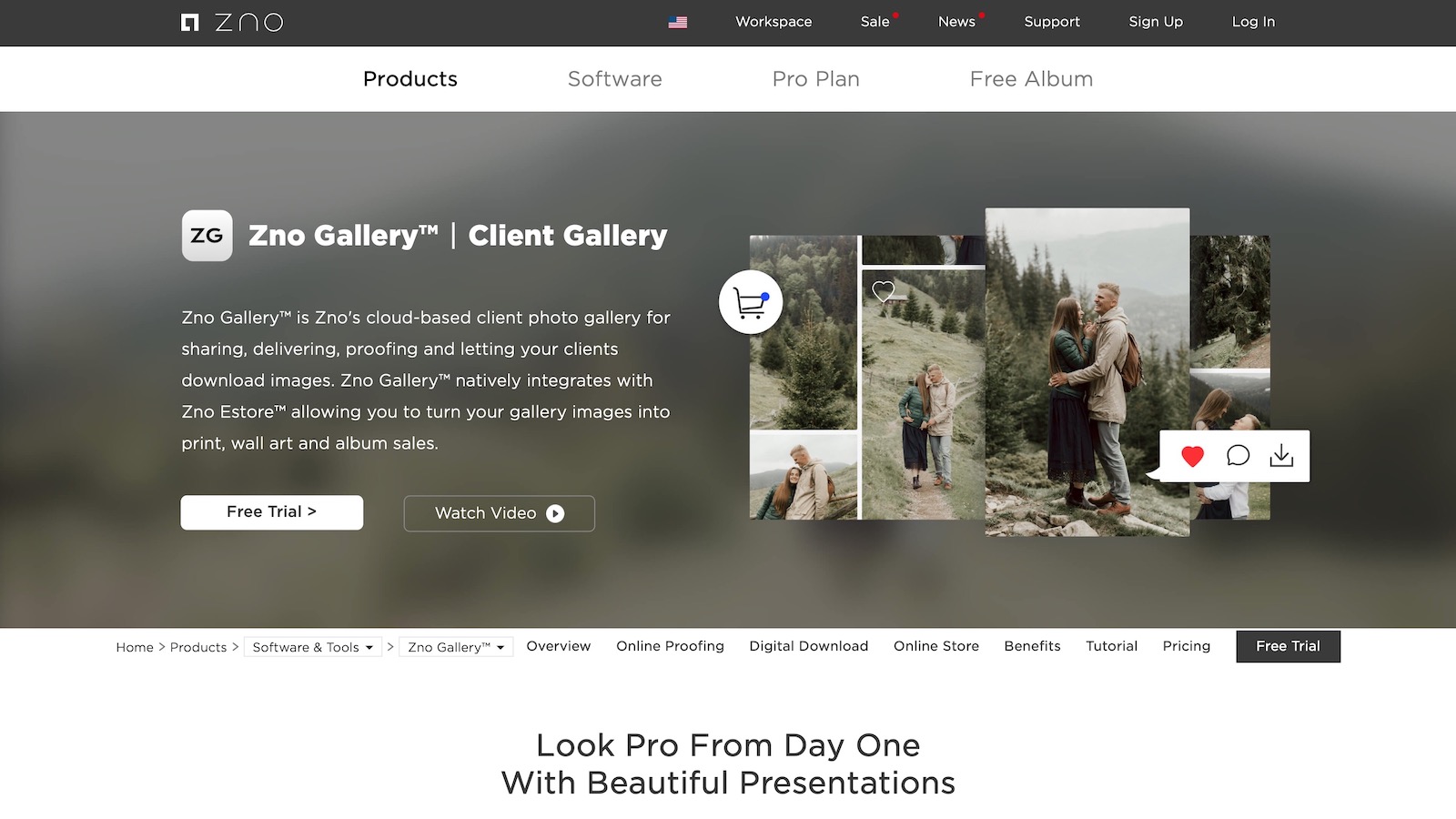 zno best online gallery for photographers